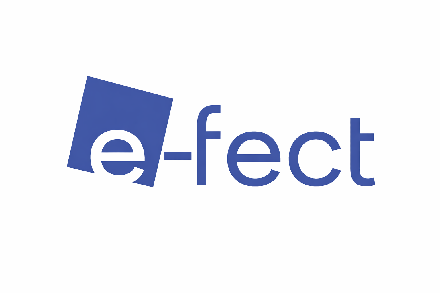 e-fect dialog evaluation consulting eG